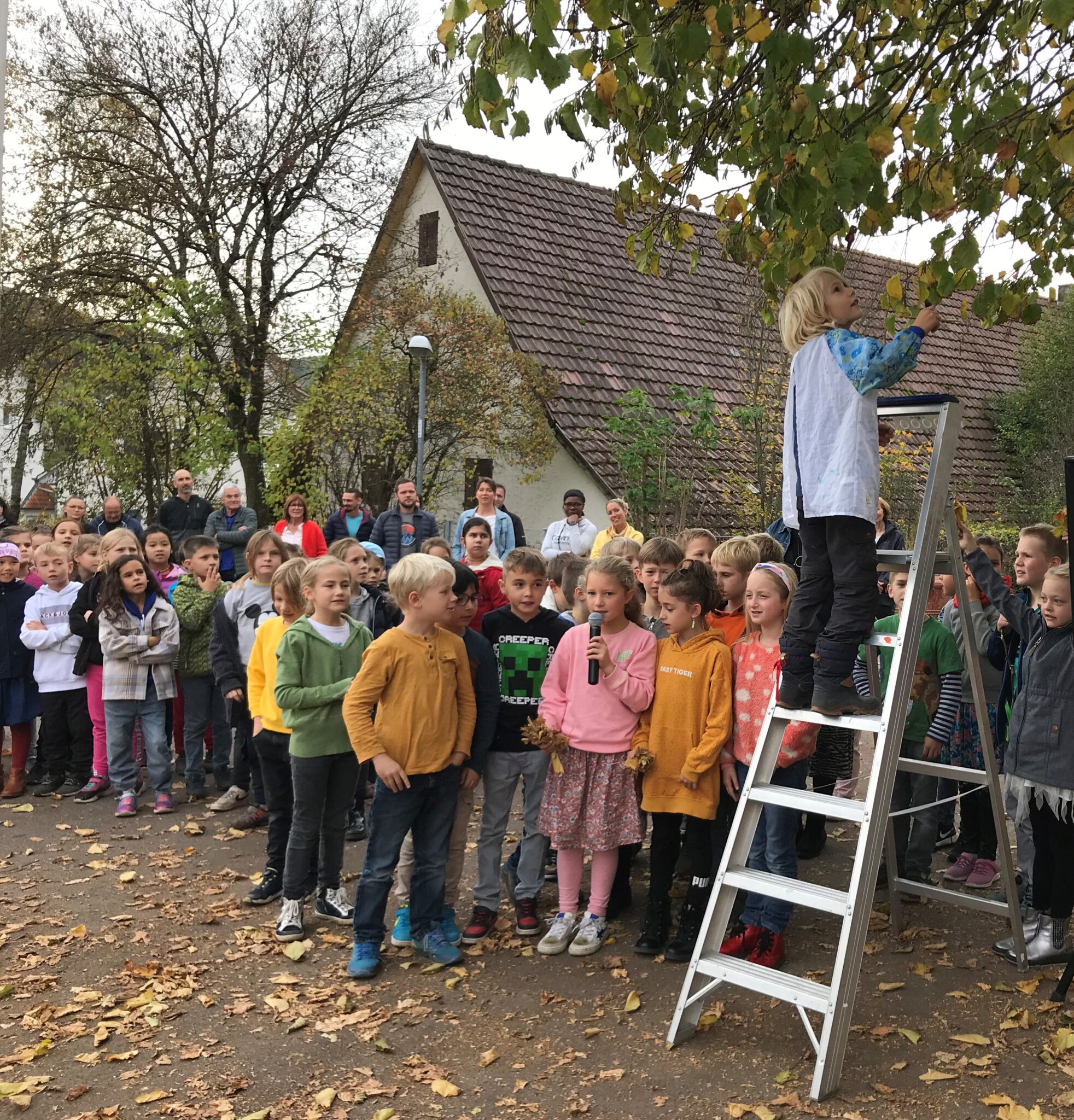  Grundschule Stammheim 